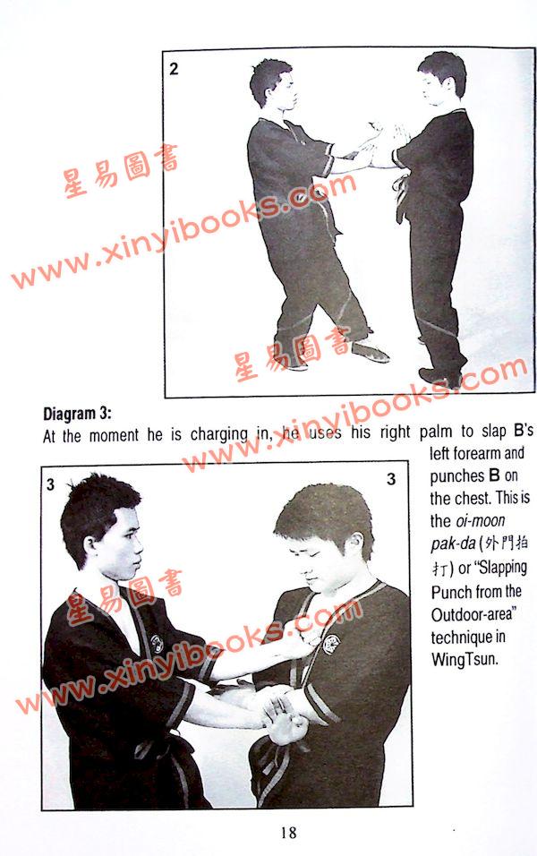 Dr. Leung Ting：Chi-Sau II  &  Lat-Sau of the Wing Tsun System（良仕行）黐手2